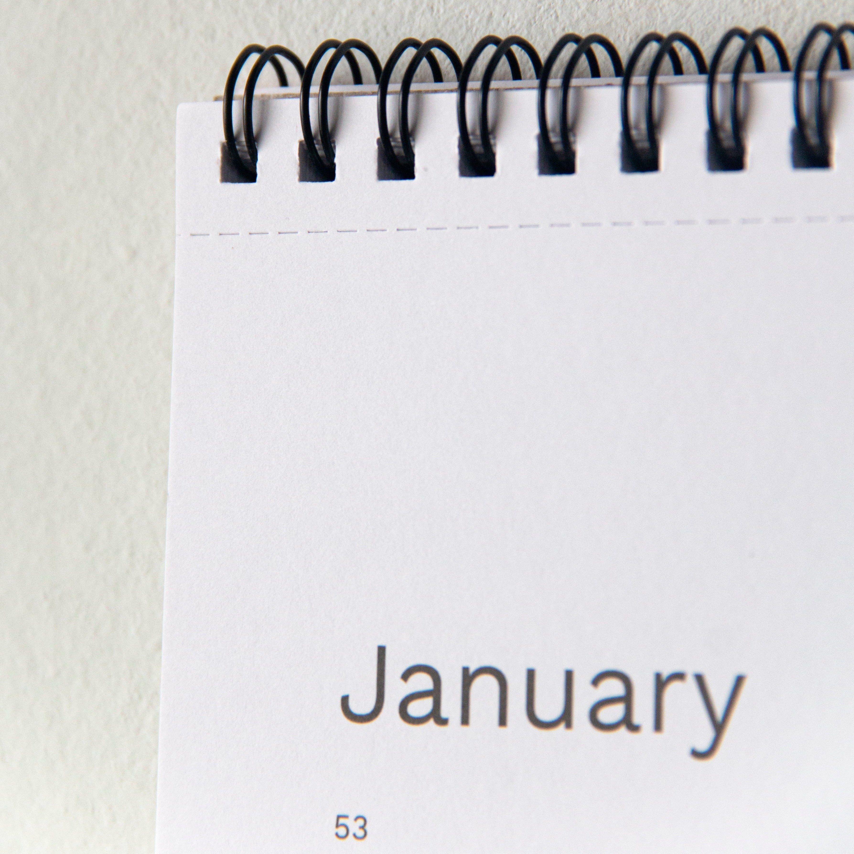 Achat Planificateur annuel 2024 DIN A3, planificateur mensuel, calendrier  mural, bullet journal, calendrier intemporel en gros