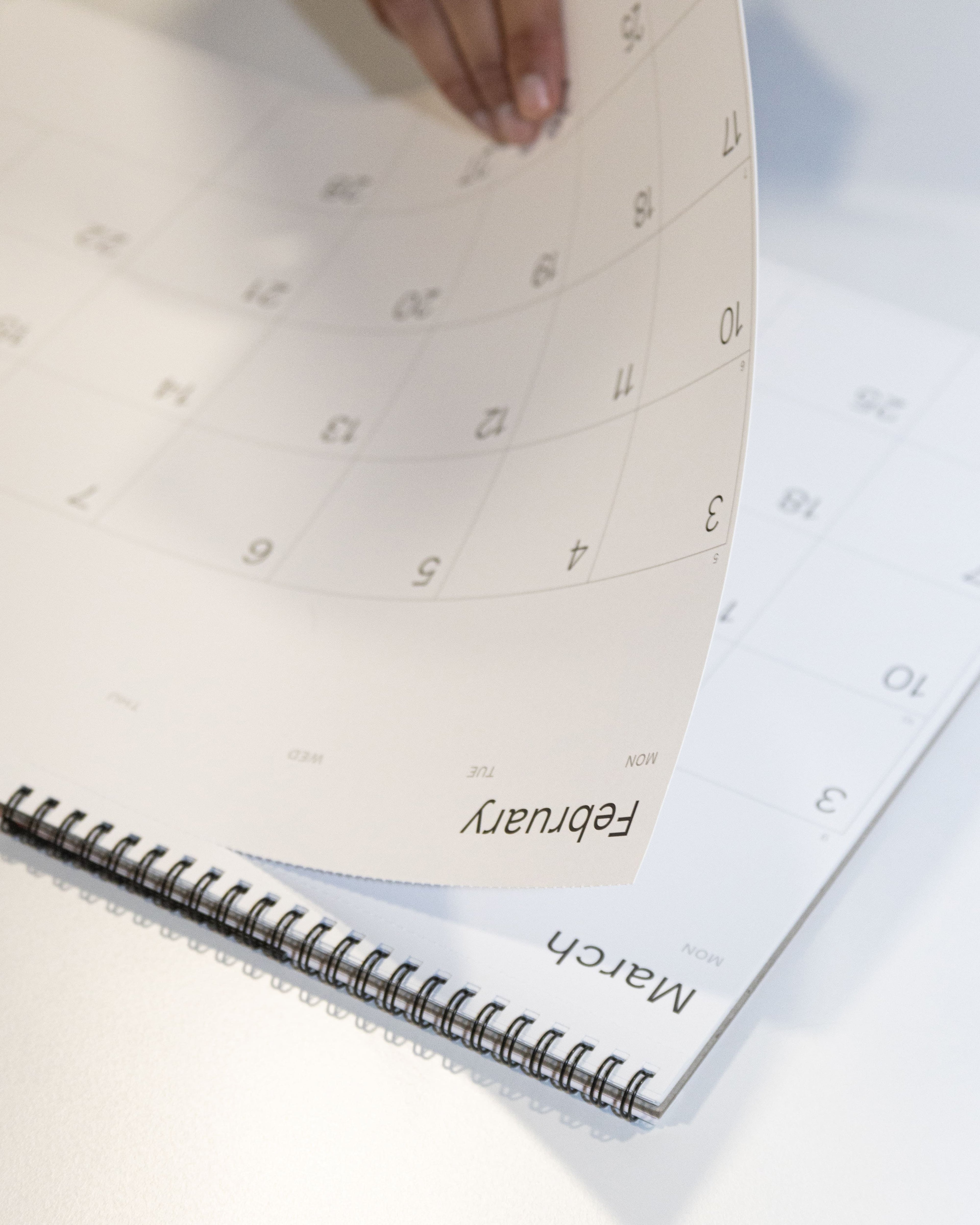 2026 Octàgon Design Wall Planner A3 size page with February and March text, held by a hand.