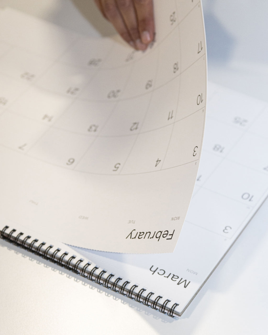 2027 wall planner by Octàgon Design. Detail of the cut mark for easy removal of each month.