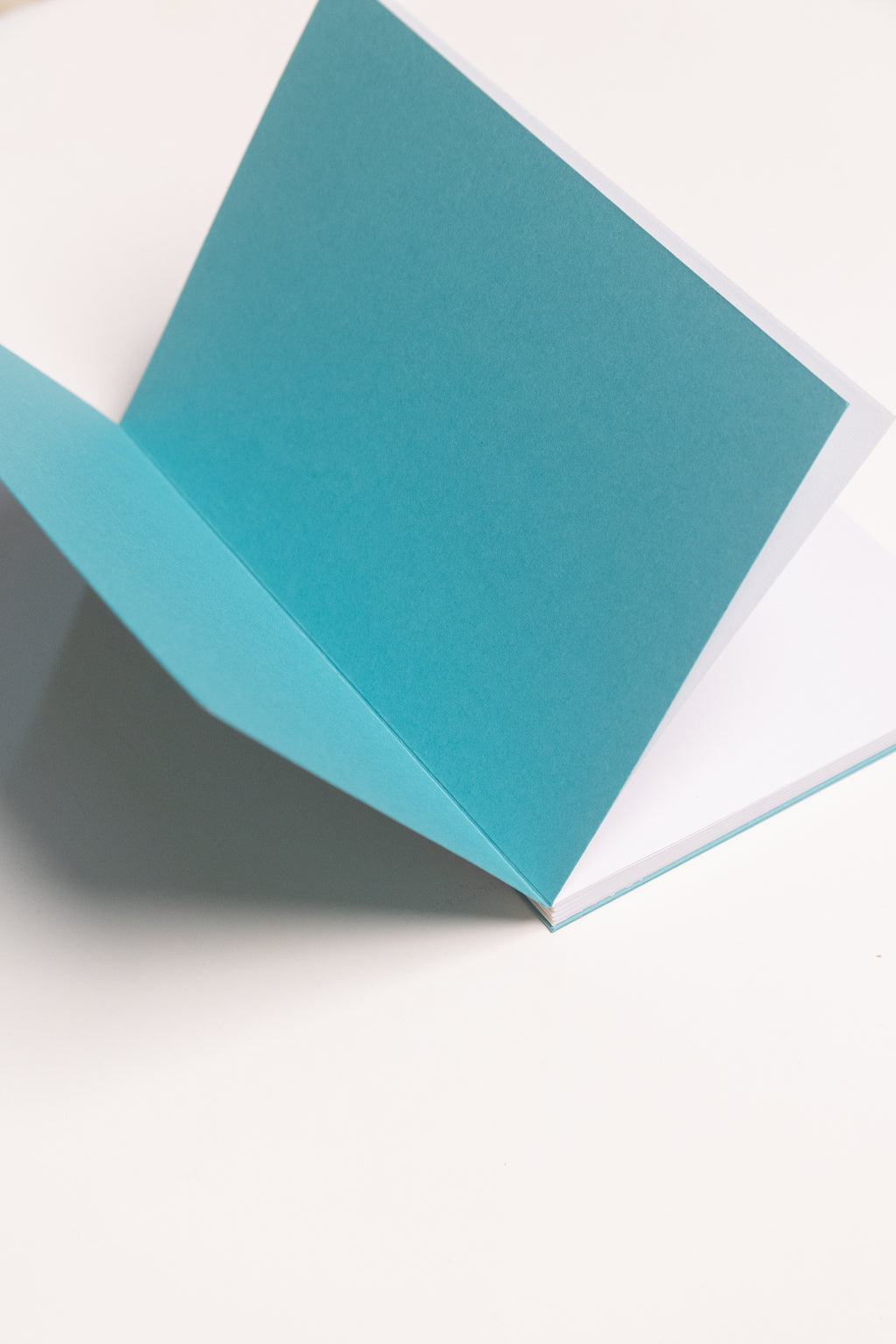 Open Spine Notebook 13,5x20 cm (80 pages) · Dotted. Inner cover detail. Caribbean Blue color.