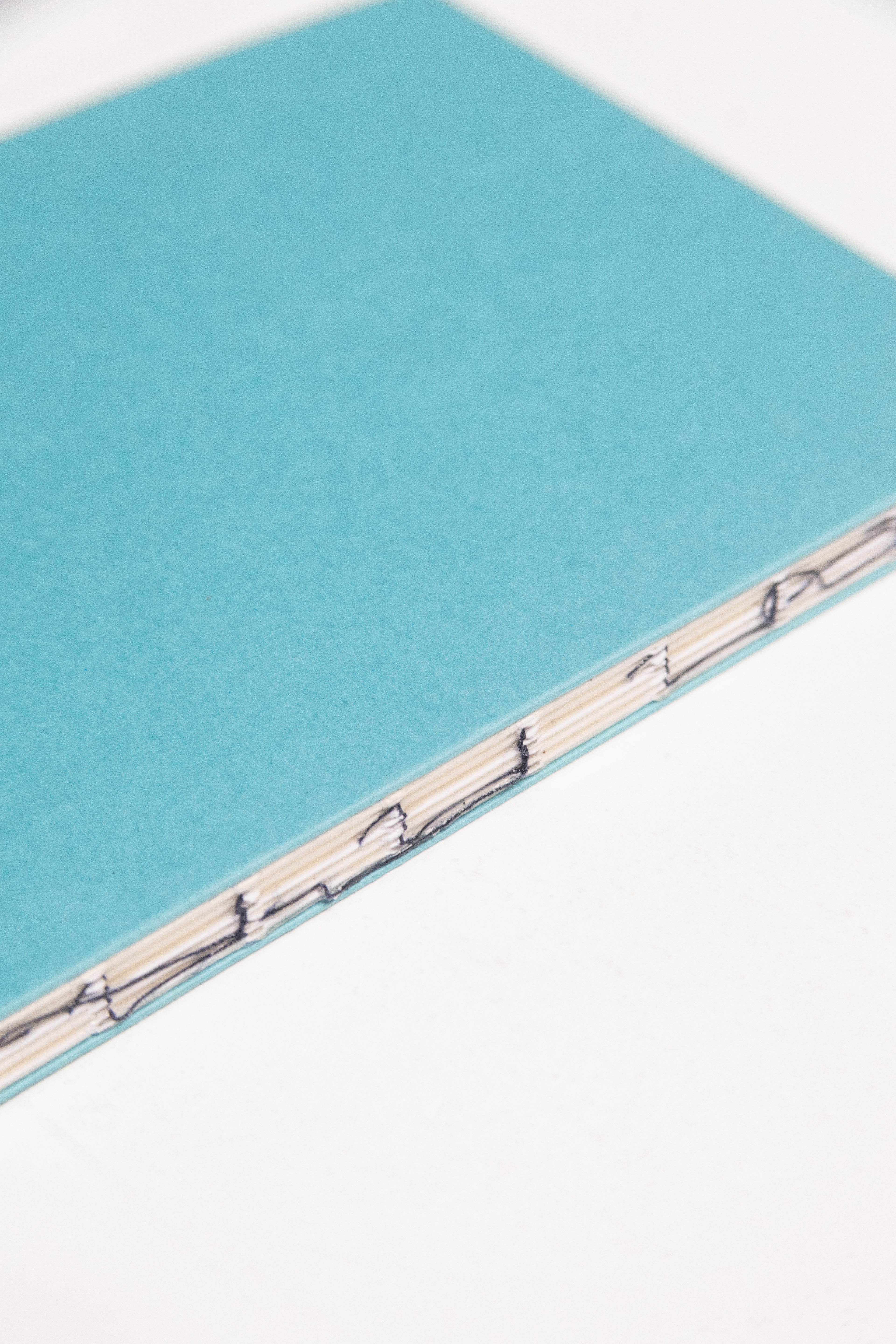 Open Spine Notebook 13,5x20 cm (80 pages) · Dotted. Exposed spine detail. Caribbean Blue color.