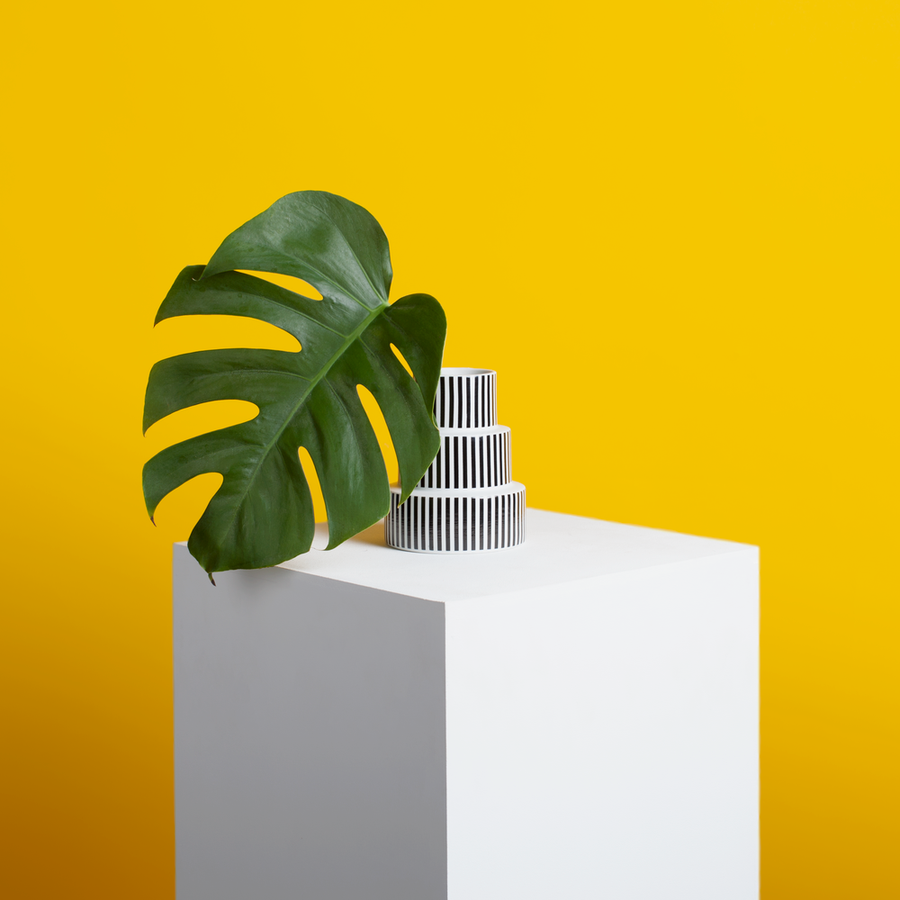 Striped Vase · M