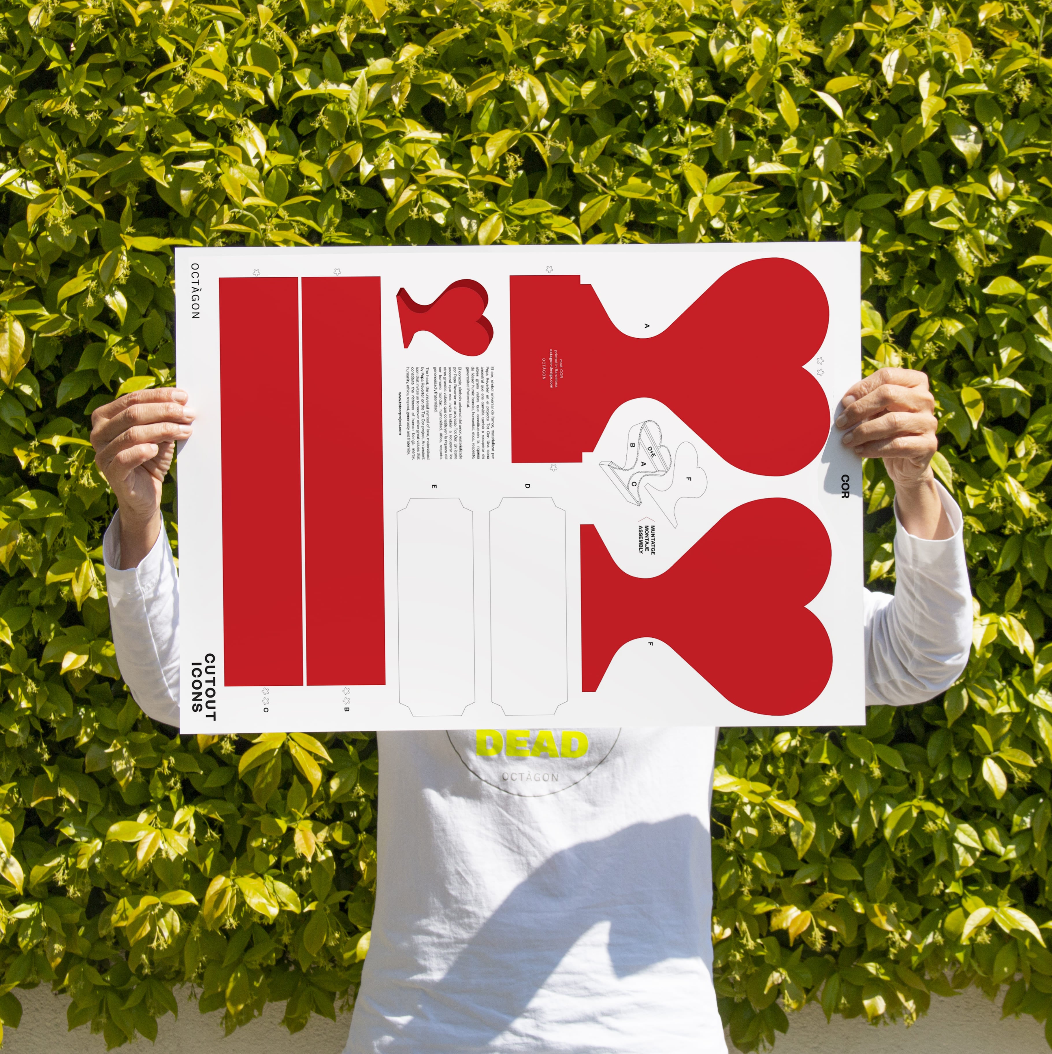 Cor  ·  cutout icons