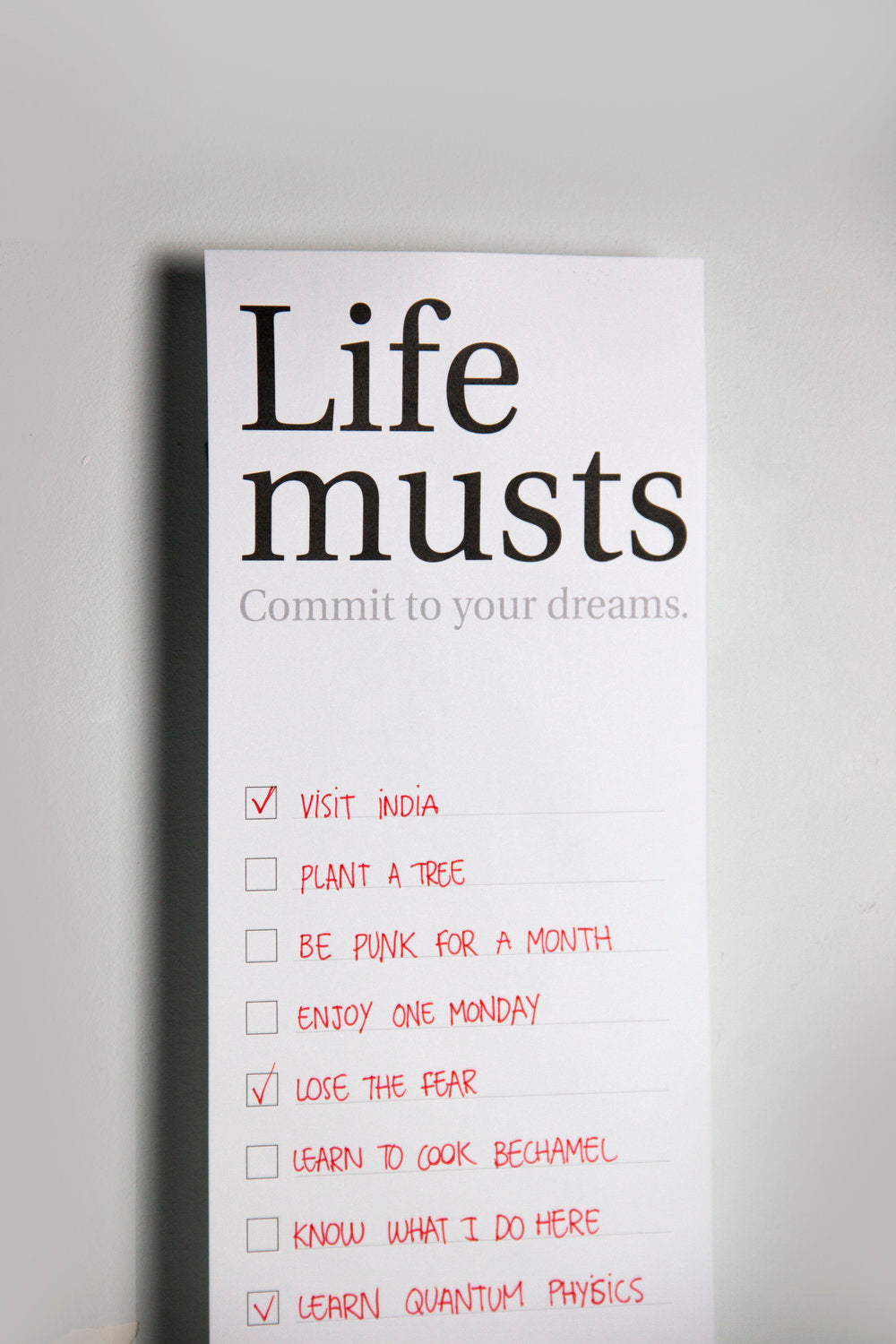 Life Musts | Póster